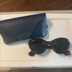 Loewe Black and Brown Cat Eye Sunglasses with Case